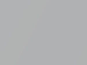 Cadillac All Models Platinum Metallic 1985 13, 7781, WA7781 - Scratch Repair