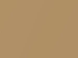 Chevrolet All Models Gold Metallic 1989 52, 9008, WA9008 - Scratch Repair