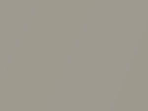 Ford All Models Crystal Metallic 1988 F1 - Scratch Repair