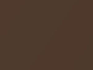 Chevrolet Astro Dark Autumnwood Metallic 1995 56 - Scratch Repair