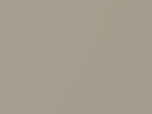 Nissan All Models Champagne Pearl 1990 656 - Scratch Repair