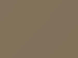 Kia All Models Pure Beige 2020 BPY