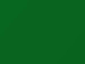 BMW 5 Series Signal Green 2019 P56