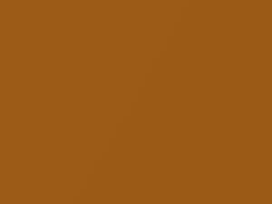 Audi SQ8 Drachenorange 2020 LY2Y, Y2Y, Y4, Y4Y4