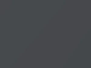 Ford All Models Grey Matter 2020 746, FN5A, FN5AWWA, PN4EG - Scratch Repair