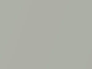 Volvo S60 Birch Light Metallic 2020 726
