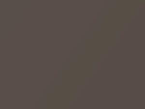 BMW I3 Jucaro Beige Metallic 2018 C2S