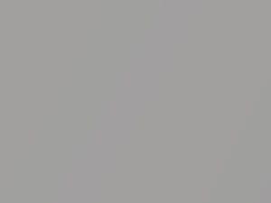 BMW 5 Series Rhodonite Silver Metallic 2017 C4B, X17