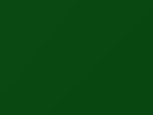 Ford All Models Spinel Green 2020 7427, AJ, KGQ, KGQAWHA, M7427A