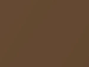 Nissan Pathfinder Penny Metallic 2019 BCAX, CAX - Scratch Repair