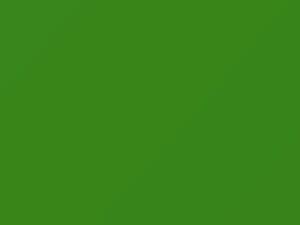 Dodge Promaster Servpro Green 2021 P51