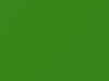 Dodge Promaster Servpro Green 2021 P51