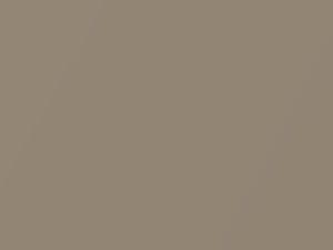 Honda All Models Champagne Beige Metallic 2017 YR60M - Scratch Repair