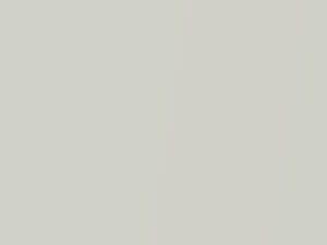 Fiat All Models Polar White Pearl 2019 742A, PWA, VR742A