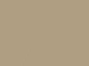GMC All Models Pale Gold Metallic 4 2019 704D, GWO, L42G, WA704D