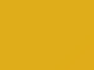 GMC All Models Lemon Yellow 4 2019 707D, GXO, L42F, WA707D