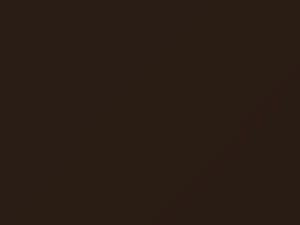Volkswagen All Models Terra Brown 2018 9802, LR828, R828