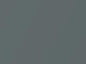 Audi All Models Gavialgrun Metallic 2021 4Z, 4Z4Z, LX6N, X6N