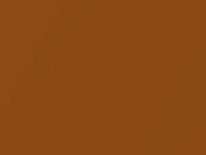 Ford All Models Pride Orange Metallic 2019 5FLQ, FLQ, PMYHS, PO, WV3