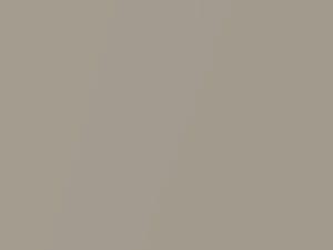 Suzuki All Models Fawn Beige Metallic 2017 YVP, ZVP