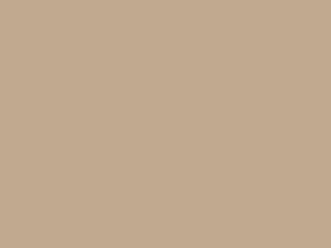 Volkswagen All Models Glam Beige 2014 LW1M, W1M