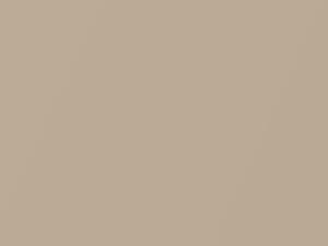 Honda Hr-V Naples Gold Metallic 2001 YR524M - Scratch Repair