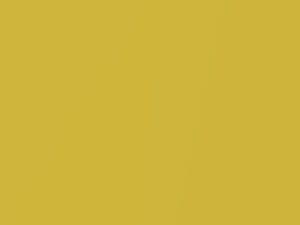 Audi RS3 Pythongelb Metallic 2021 LX1X, R1, R1PA, R1R1, X1X