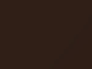 Honda All Models Tiger Eye Pearl 1998 YR594P - Scratch Repair