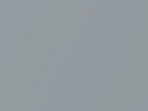 Fiat All Models Sonic Silver Metallic 2019 45P, 807, 807B, PSP, SSP