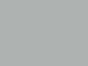 Kia Soul Bright Silver Metallic 2014 A3D