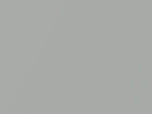 Oldsmobile Calais Bright Silver Metallic 1991 13, 13S, 9021, WA9021, WAPB9021 - Scratch Repair