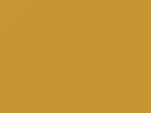 Nissan Altima Medium Yellow 2001 ES3 - Scratch Repair