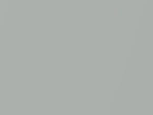BMW All Models Pearl Silver Metallic 2011 X01