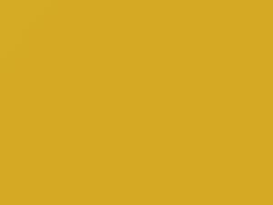 Suzuki All Models Brilliant Yellow 2004 ZY2