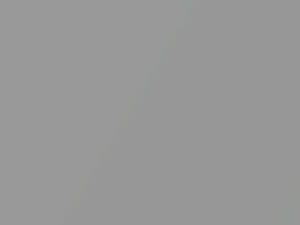 Honda Del Sol Vogue Silver Metallic 1997 NH583M