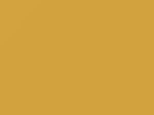 Chrysler All Models Classic Yellow 2008 695, PY3