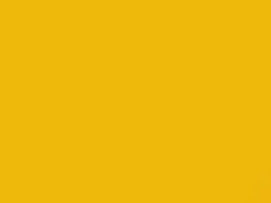 Ford Fiesta Lightning Yellow 2011 A4J