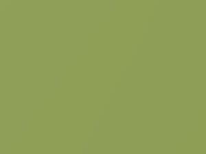Daihatsu All Models Lime Green Metallic 2007 G41