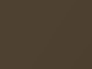 Toyota All Models Golden Umber Mica 2012 4U2