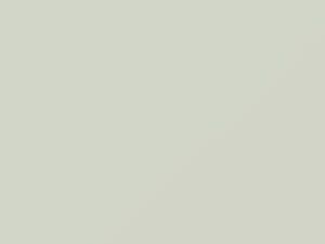 Honda Civic Taffeta White 2017 NH578 - Scratch Repair