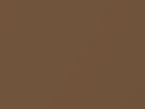 Ford All Models Desert Tan Metallic 1983 9N, AT, M5916A - Scratch Repair