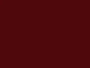Mitsubishi All Models Red 2020 CSP10063, P63