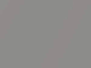 Smart All Models Tridion Silver Metallic 2020 EB5