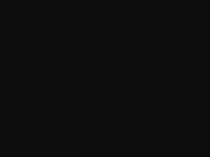 Nissan Sentra Thunder Black 1985 505 - Scratch Repair