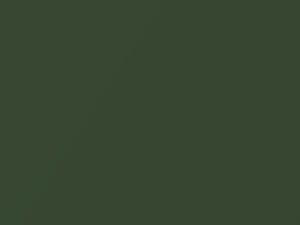 Mini All Models Jungle Green Metallic 2015 C15