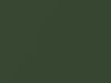 Mini All Models Jungle Green Metallic 2016 C15