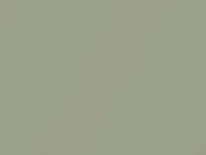 BMW 5 Series Tanggruen Metallic 2002 158, 222, 450 - Scratch Repair