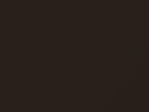 Audi R8 Teak Brown Metallic 2012 4U, 4U4U, 4UPA, 4UPW, LZ8W, Z8W