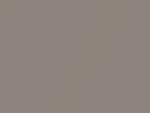 Fiat All Models Perla Sironi Mica 2014 295A