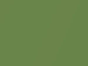 Nissan All Models Sea Grass Green Metallic 2005 J13
